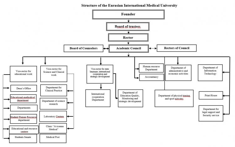 Structure of the Eurasian International Medical University
